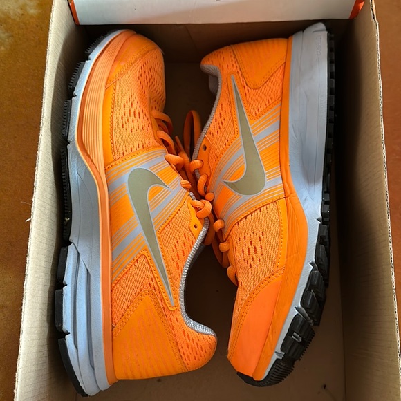 Nike Shoes - Nike Pegasus 29